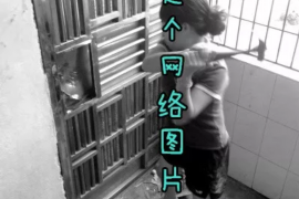 张湾工资清欠服务